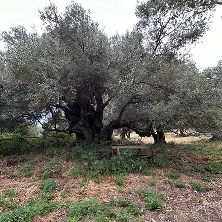 Corcillo Bed & Breakfast 3*